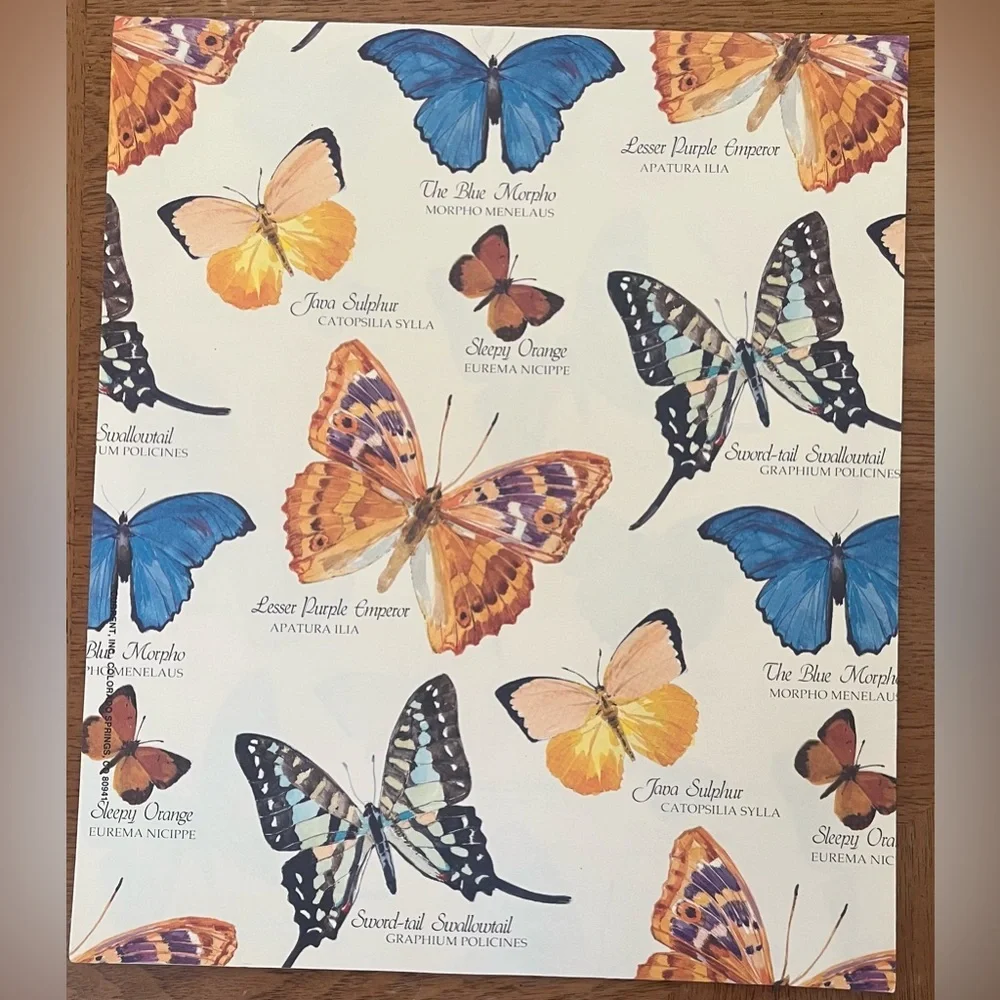 2 brand new sheets vintage gift wrap butterfly and birds
